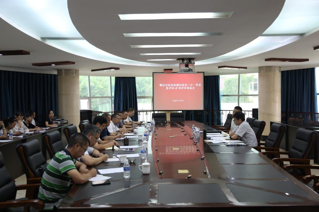 复评审现场会